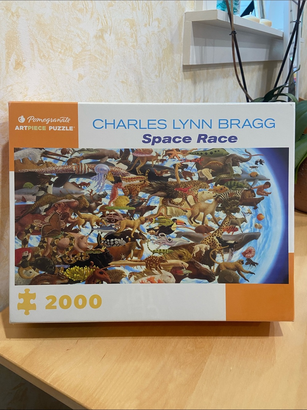 Pomegranate Charles Lynn Bragg Space Race - 2000 Piece Puzzle